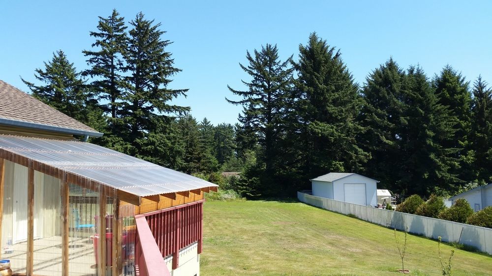 Arky'S B&B Smith River Exterior photo